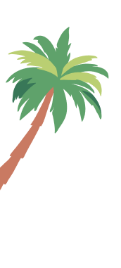 Palm tree graphic representing the tropical climate of Jacksonville, Florida, relevant to Skinner Moving & Storage's local moving services.