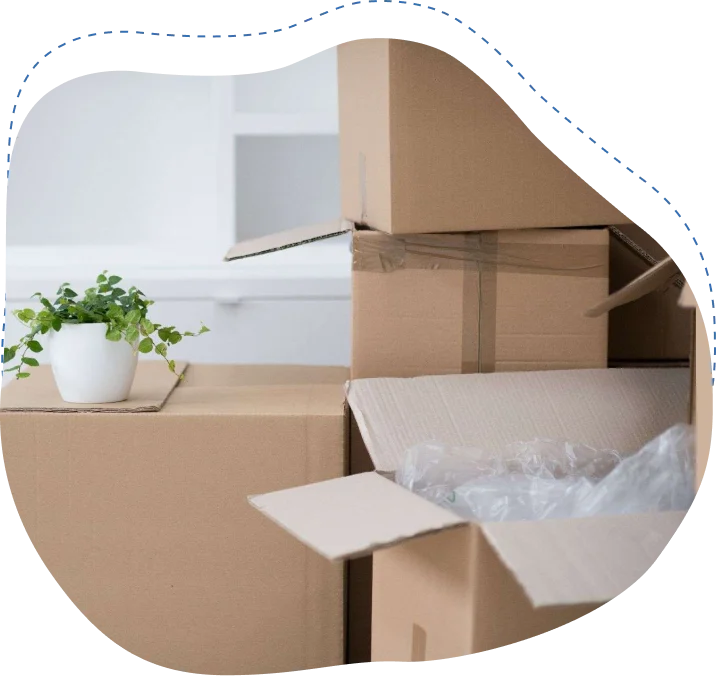 Boxes stacked for moving, including an open box with packing materials and a small potted plant, illustrating professional packing services offered by Skinner Moving in Jacksonville.